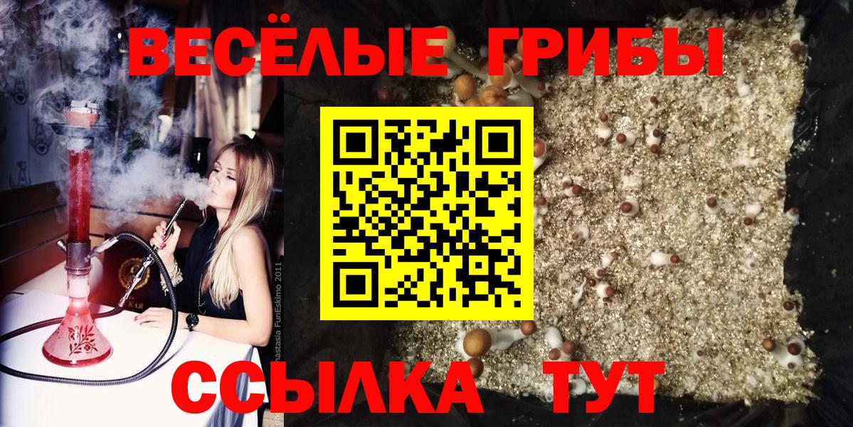 Псилоцибиновые грибы GOLDEN TEACHER Вязники
