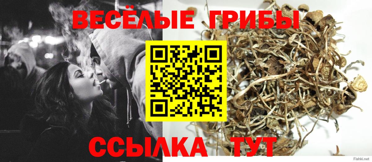 Галлюциногенные грибы GOLDEN TEACHER  Псилоцибиновые грибы мухоморы  Вязники  Вход с VPN 